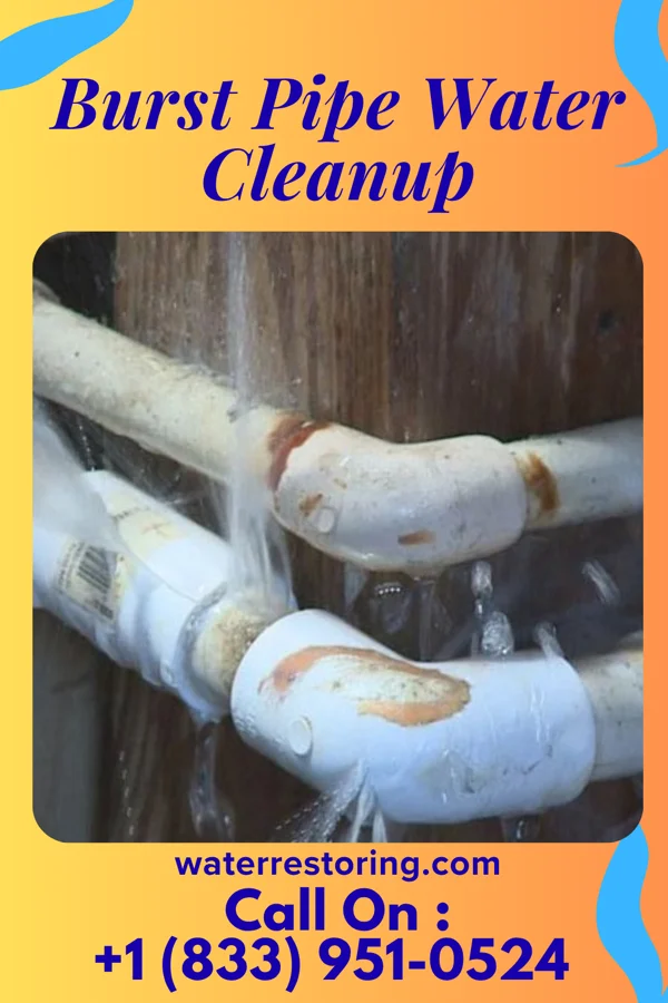 Burst Pipe Water Cleanup in Cabool, MO