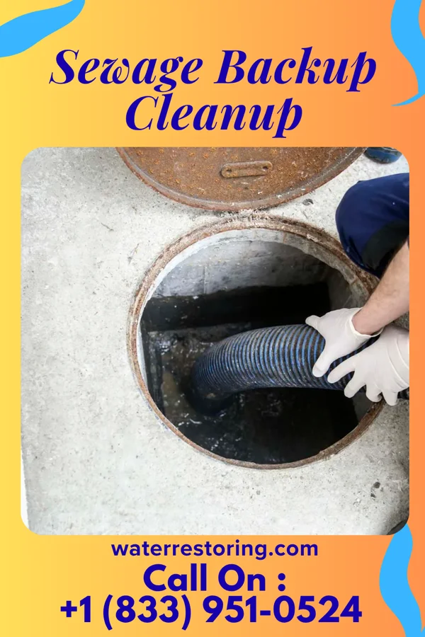 Sewage Backup Cleanup in Cabool, MO