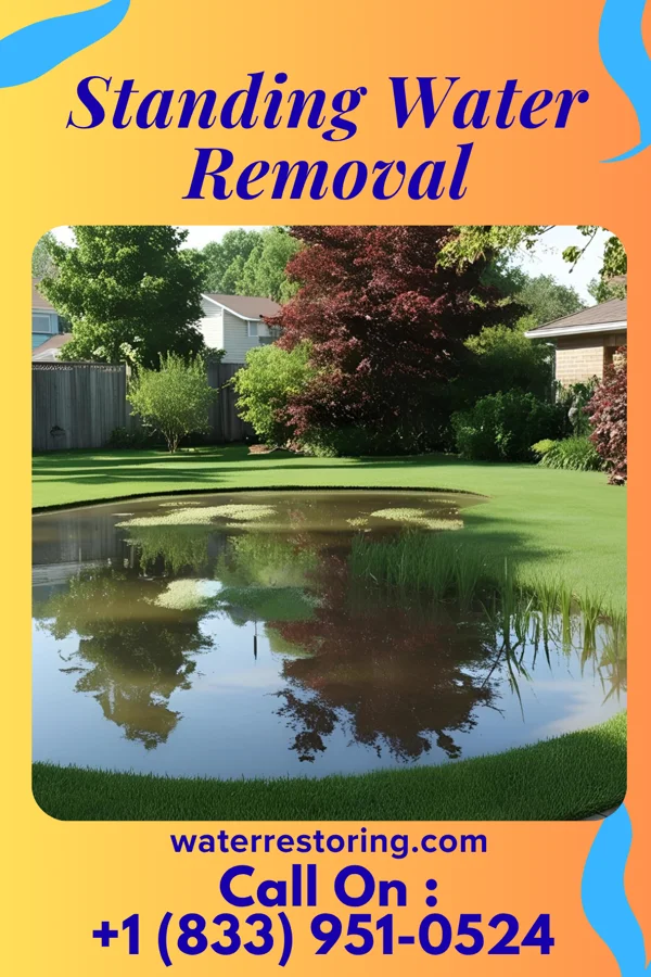 Standing Water Removal in Cabool, MO
